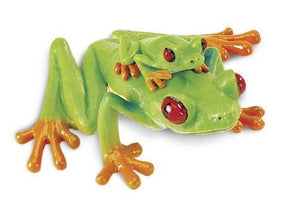 Safari Red Eyed Tree Frog