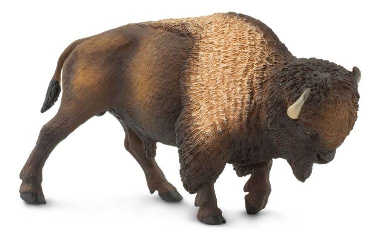 Safari Ltd  Bison Figure