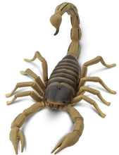 Load image into Gallery viewer, Safari Scorpion