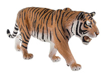 Load image into Gallery viewer, Siberian Tiger