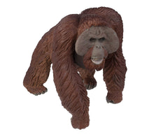 Load image into Gallery viewer, Safari Bornean Orangutan