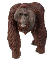 Load image into Gallery viewer, Safari Bornean Orangutan
