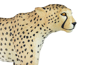 Safari Cheetah