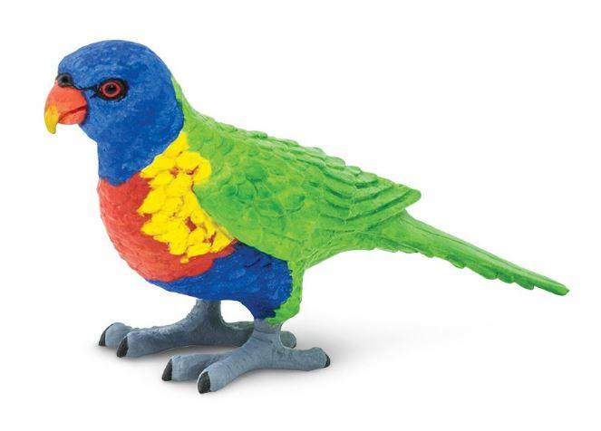 Lorikeet