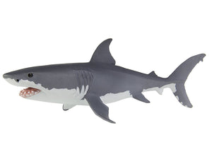 Safari Great White Shark