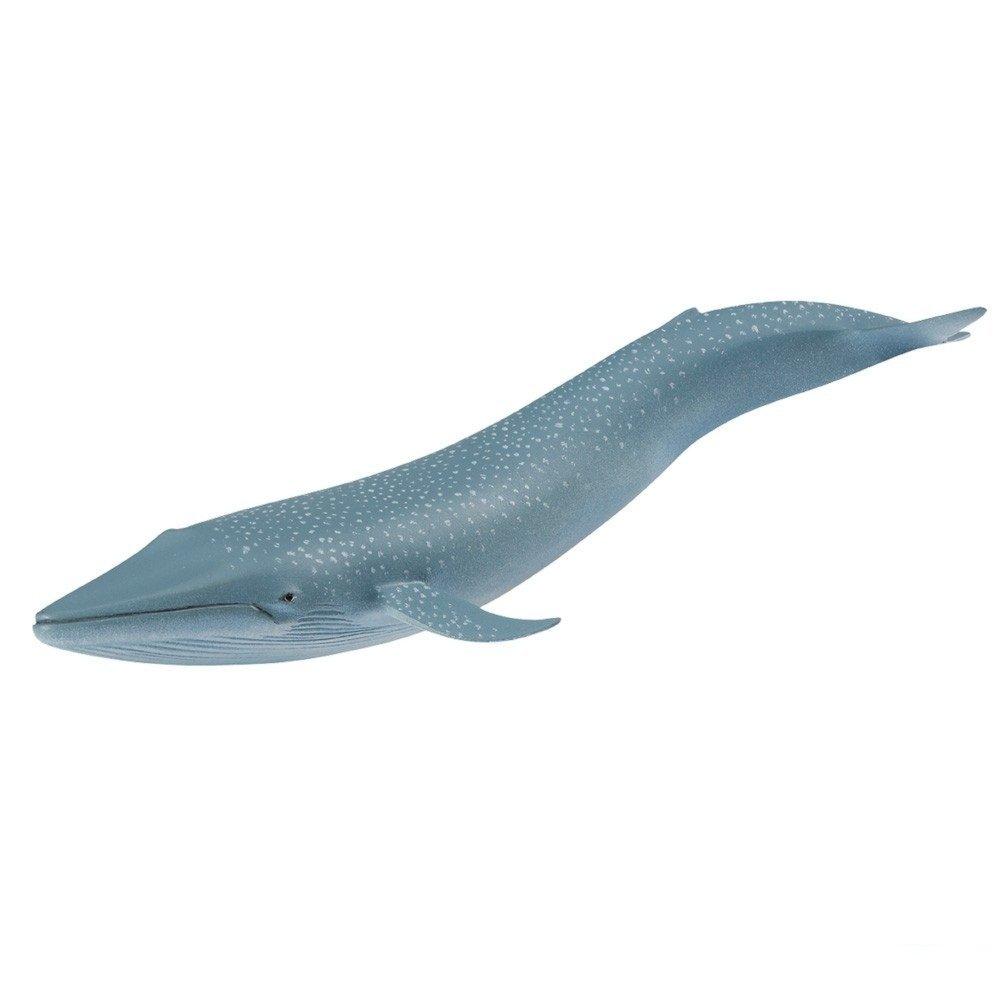Safari Blue Whale