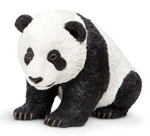 Panda Baby