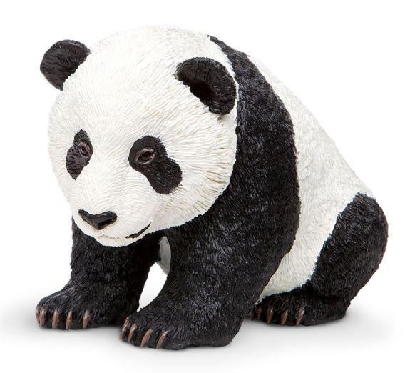 Panda Baby