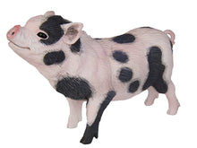 Load image into Gallery viewer, Safari Pot Bellied Pig