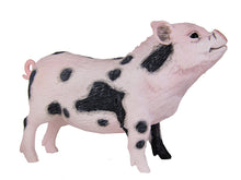 Load image into Gallery viewer, Safari Pot Bellied Pig