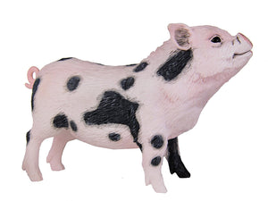 Safari Pot Bellied Pig
