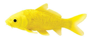 Safari Koi Fish