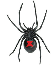 Load image into Gallery viewer, Black Widow Spider