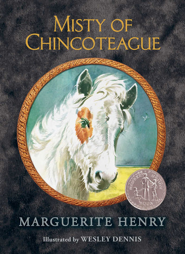 MISTY OF CHINCOTEAGUE Hardcover