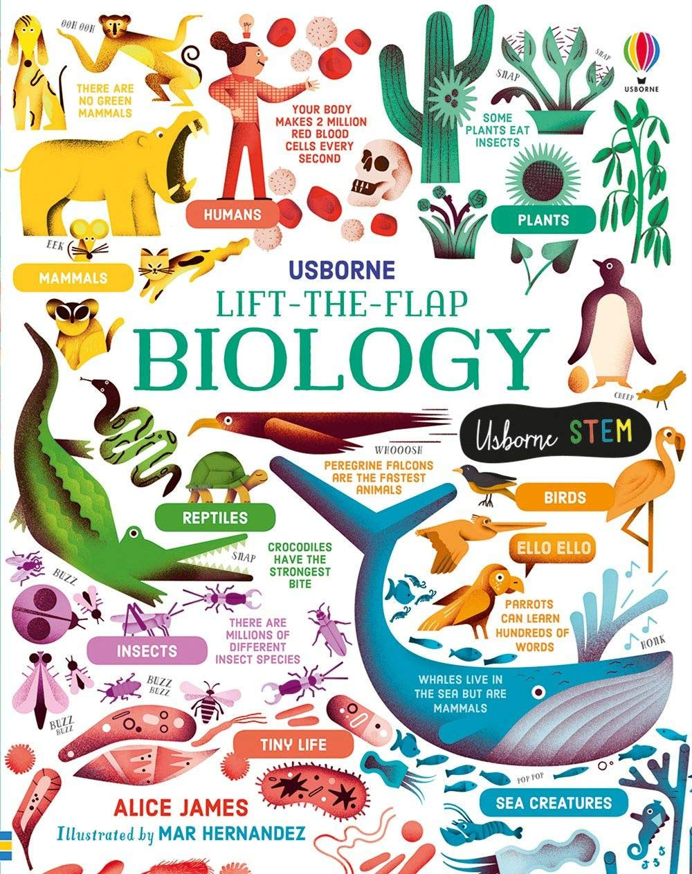 Lift the Flap Biology