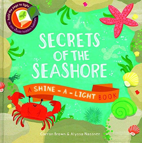 Secrets of the Seashore Shine a Light Book