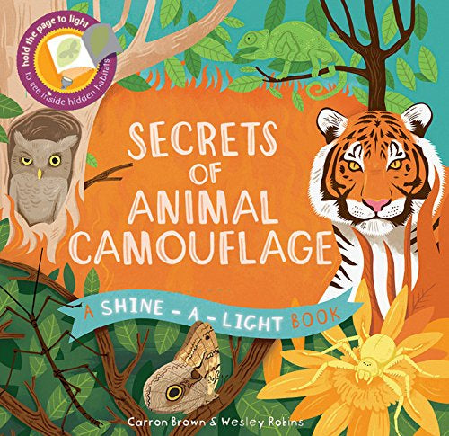 Secrets of Animal Camouflage Shine A Light Book