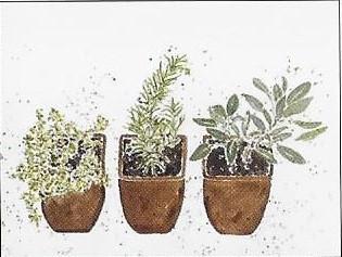 Boxed Notecards- Thyme, Rosemary & Sage