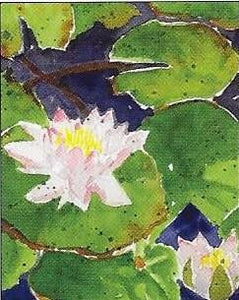 Boxed Notecards-Water Lilies