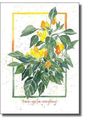 Boxed Cards- Pepper Plant