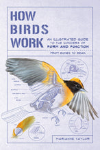 Load image into Gallery viewer, How Birds Work: An Illustrated Guide to the Wonders of Form and Function—from Bones to Beak
