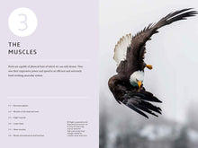 Load image into Gallery viewer, How Birds Work: An Illustrated Guide to the Wonders of Form and Function—from Bones to Beak