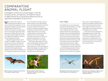 Load image into Gallery viewer, How Birds Work: An Illustrated Guide to the Wonders of Form and Function—from Bones to Beak