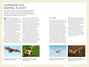 How Birds Work: An Illustrated Guide to the Wonders of Form and Function—from Bones to Beak