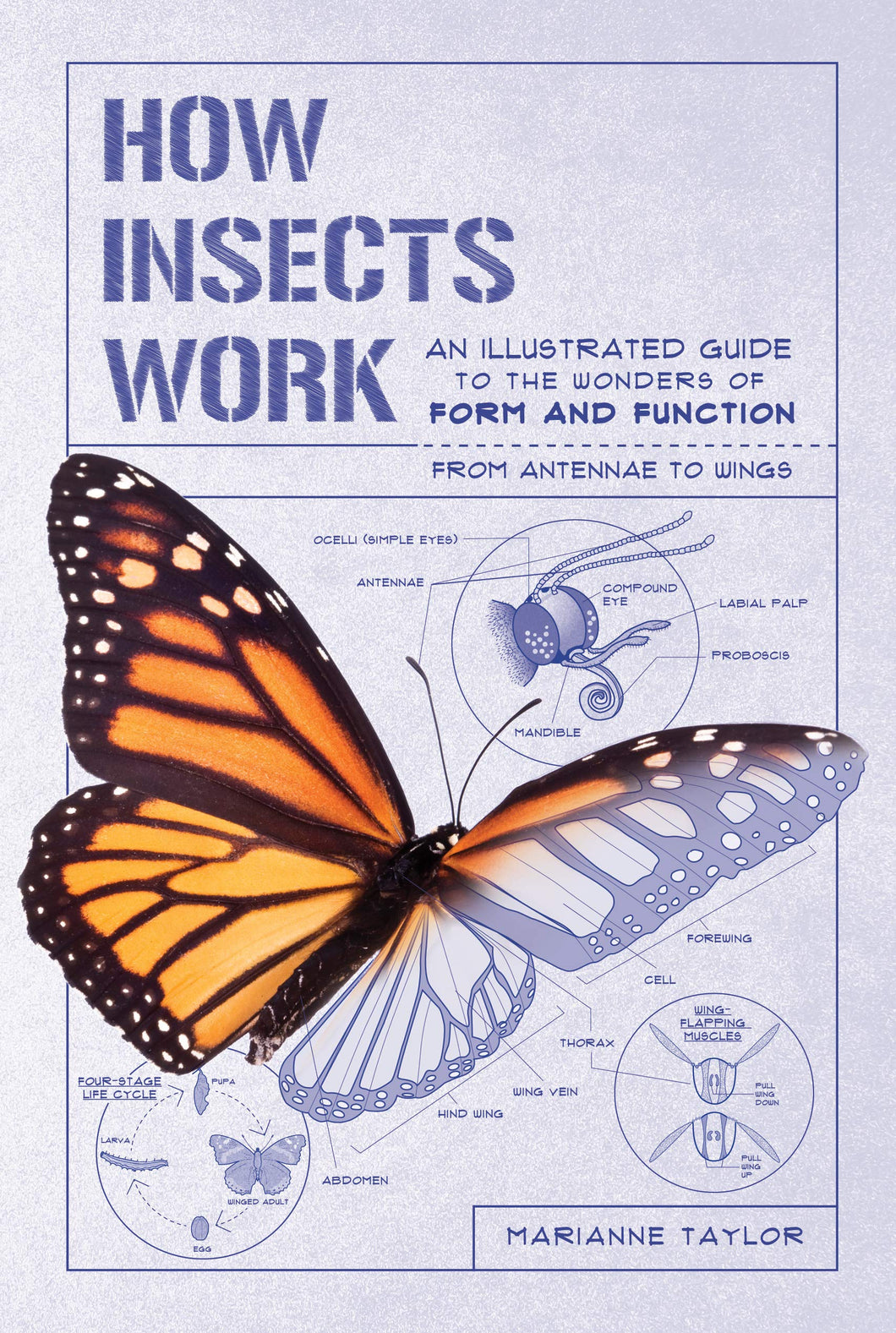 How Insects Work: An Illustrated Guide to the Wonders of Form and Function―from Antennae to Wings Flexibound