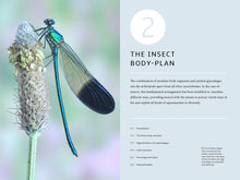 Load image into Gallery viewer, How Insects Work: An Illustrated Guide to the Wonders of Form and Function―from Antennae to Wings Flexibound