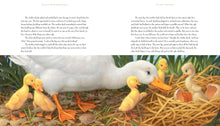 Load image into Gallery viewer, Classic Storybook Fables: Including &quot;Beauty and the Beast&quot; and Other Favorites Hardcover