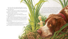 Load image into Gallery viewer, Classic Storybook Fables: Including &quot;Beauty and the Beast&quot; and Other Favorites Hardcover
