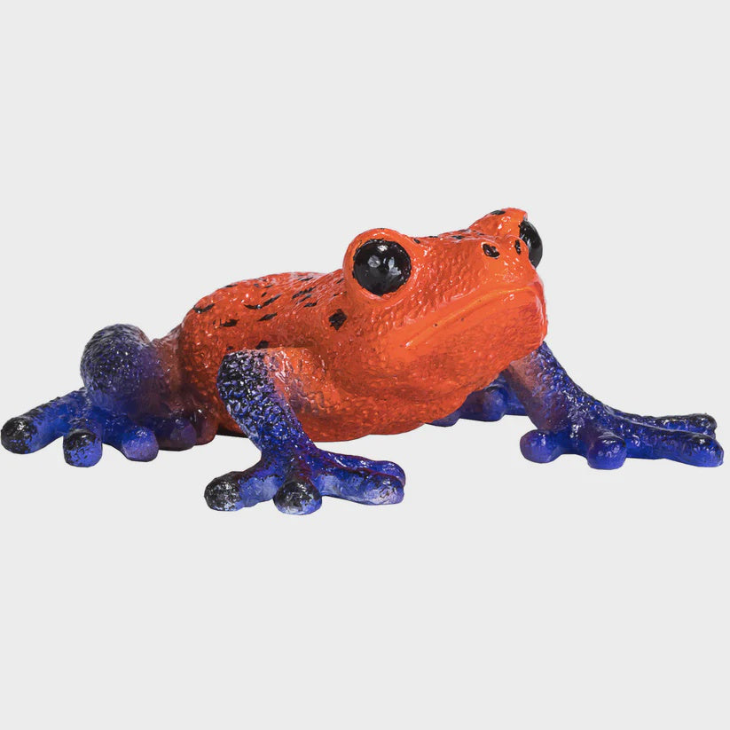 Mojo Poison Dart Frog