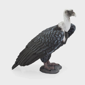 Mojo Griffin Vulture #387165
