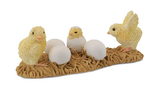 Reeves Collecta Chicks Hatching