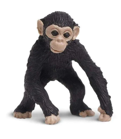 Good Luck Minis- Chimps