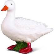 Reeves Collecta White Duck