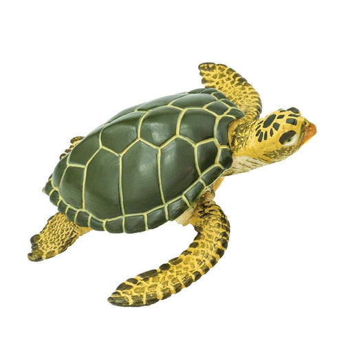 Safari Green Sea Turtle #274329