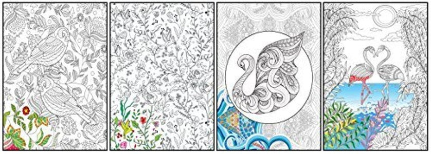 Nature's Wonders Adult Coloring Posters 11