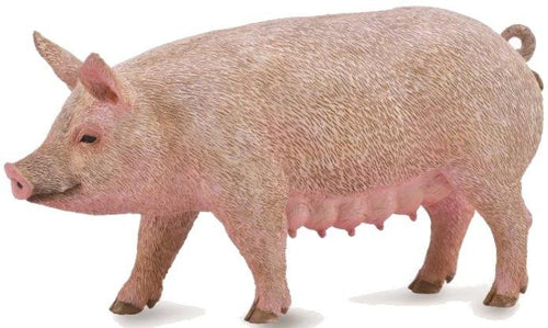 Reeves Collecta Sow