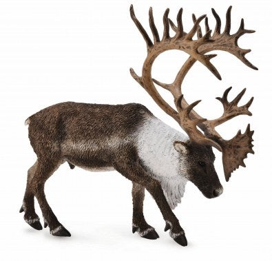 Reeves Collecta Woodland Caribou