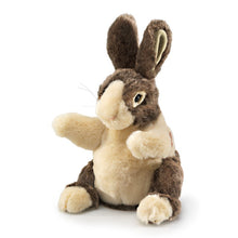 Load image into Gallery viewer, Folkmanis Baby Dutch Bunny Puppet #2571
