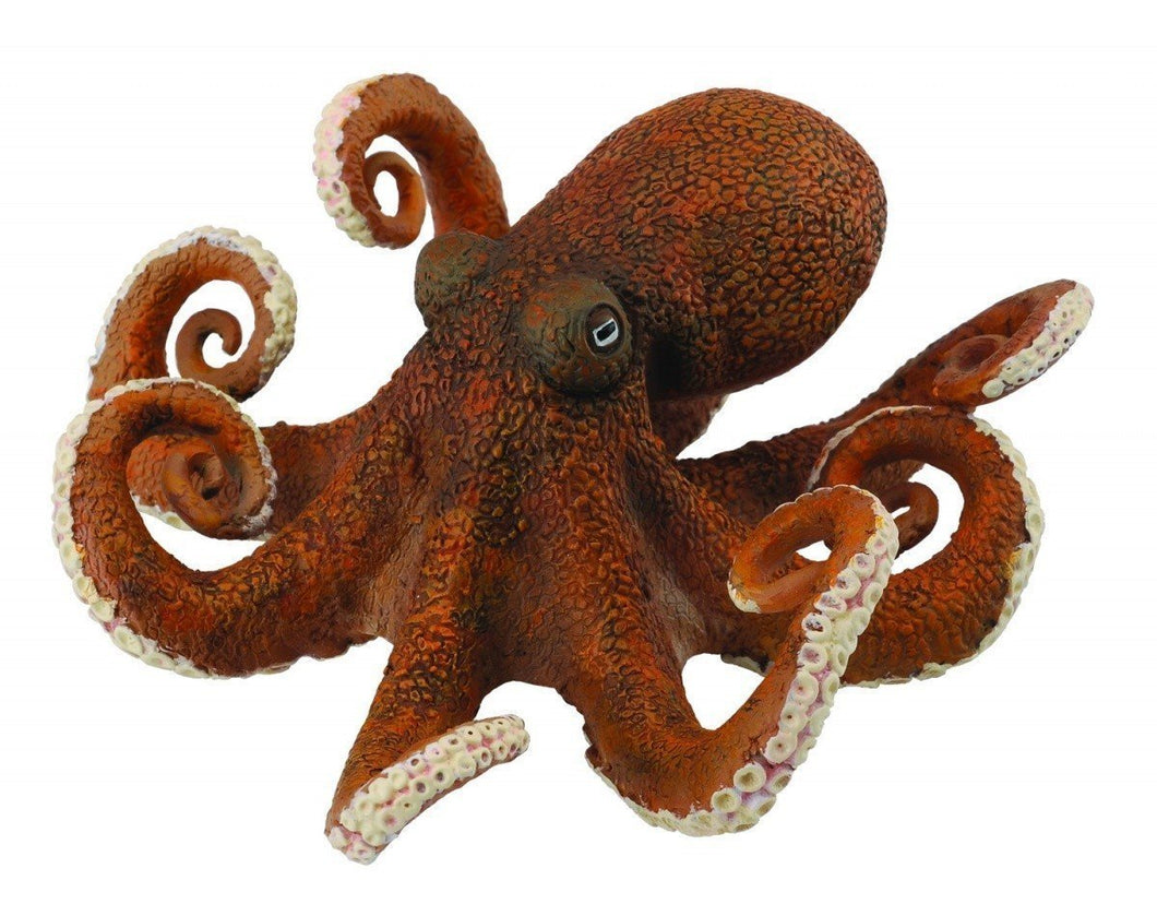 Reeves Collecta Octopus