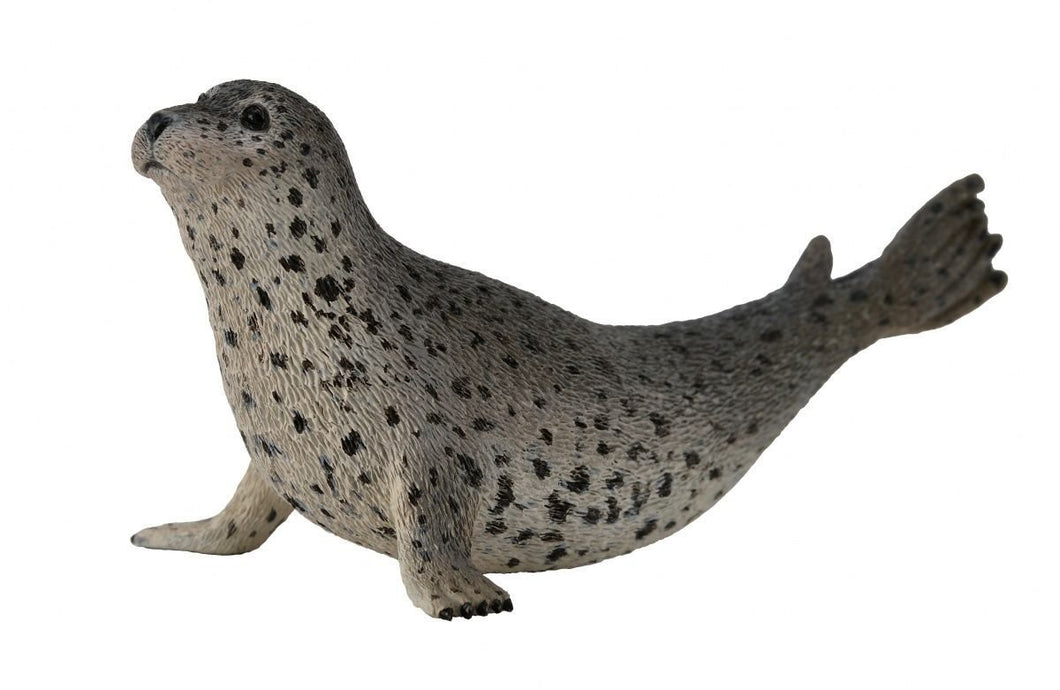Reeves Collecta Spotted Seal
