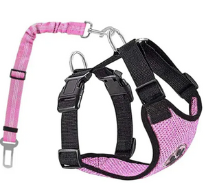 Pom Pom Tail Dog Safety Harness with Seatbelt
