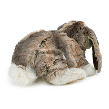 Load image into Gallery viewer, Folkmanis Baby Lop Bunny Puppet #3048