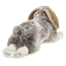 Load image into Gallery viewer, Folkmanis Holland Lop Bunny Rabbit Hand Puppet #2892