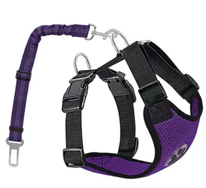 Pom Pom Tail Dog Safety Harness with Seatbelt