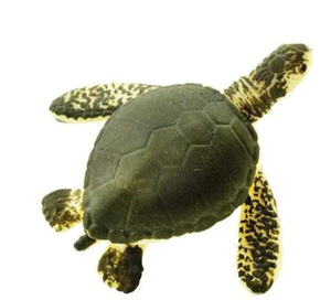 Good Luck Minis- Sea Turtle