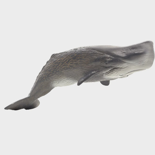 Mojo Sperm Whale Figure